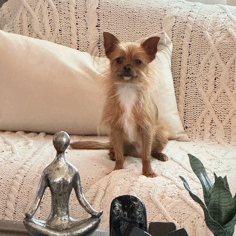 Meet your Posher, Aqeel